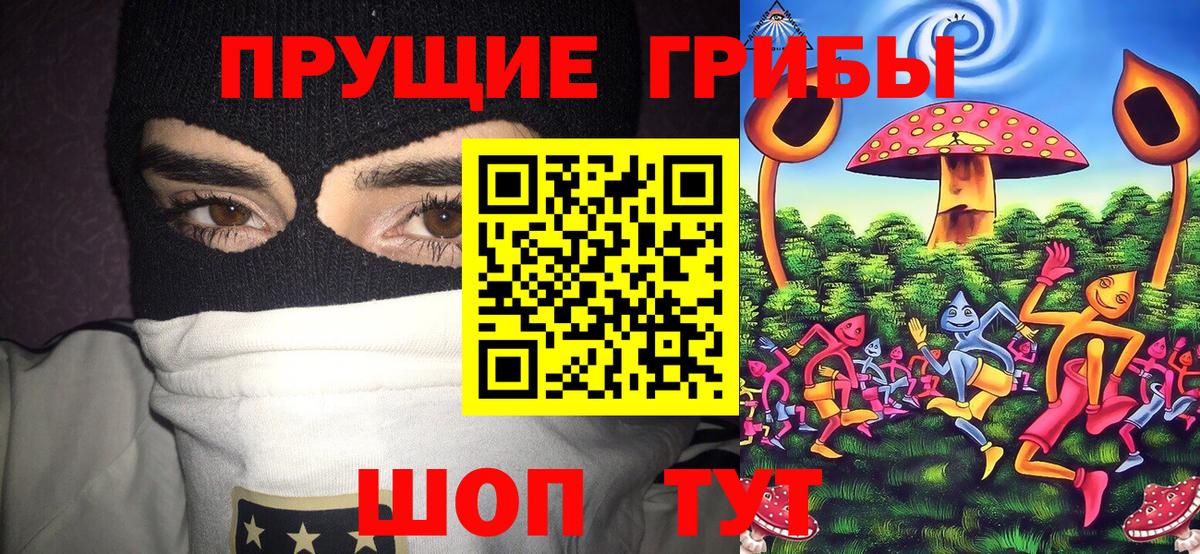 Псилоцибиновые грибы Psilocybine cubensis Валуйки